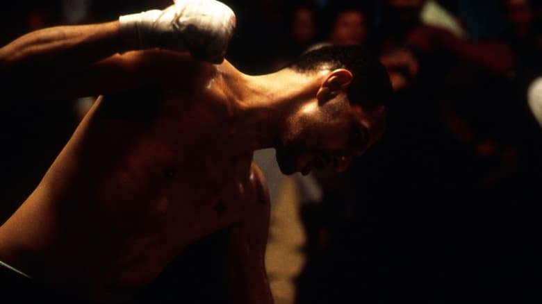Clubbed To Death (Lola) (1996)
