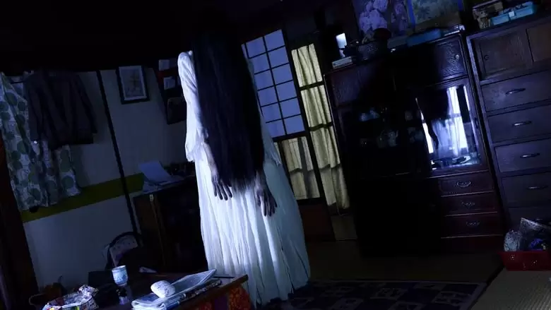 Sadako Vs. Kayako (2016)