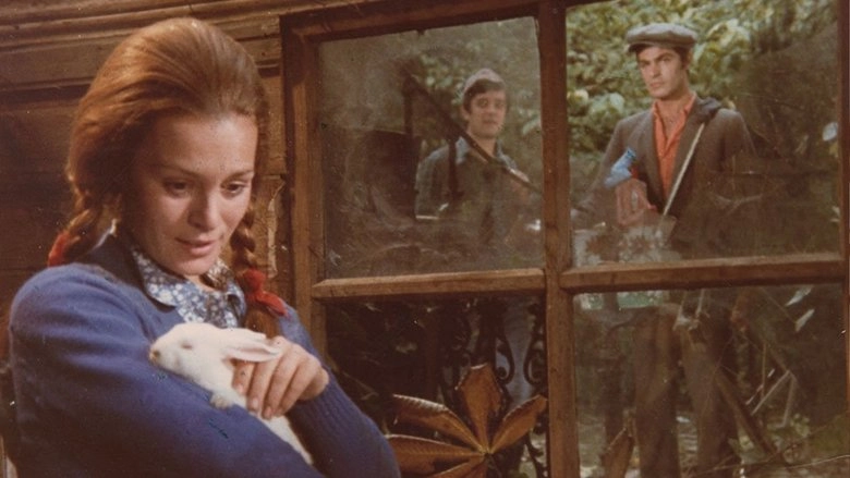 Three Friends (1971)