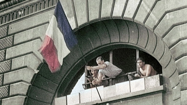 Ils Ont Libere Paris ! (2014)