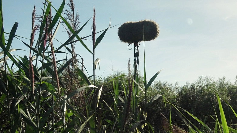 In A Silent Way (2020)