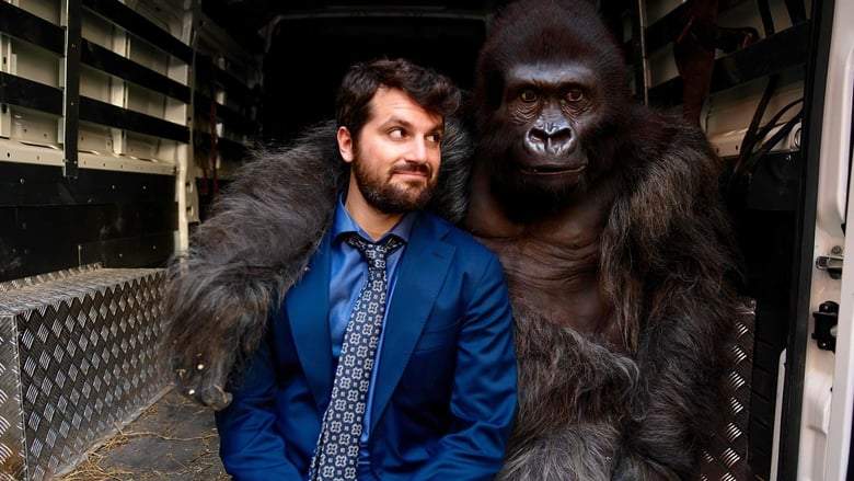 Beware The Gorilla (2019)