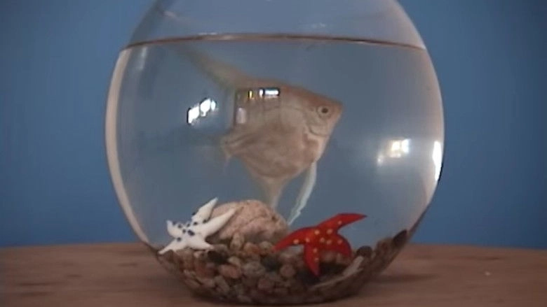 El Gabinete Del Doctor Mojado - Piloto CNTV (2002)