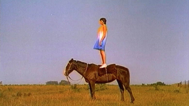 1000 Boomerangs (1995)