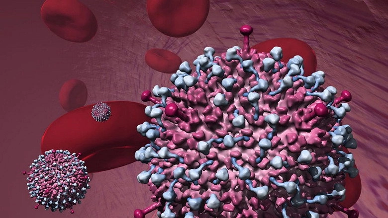 Why Do Viruses Kill? (2010)