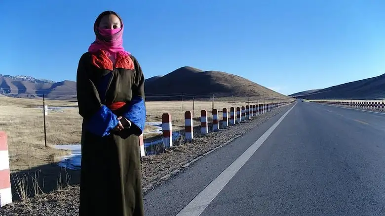 Xunzhao Zhimei Gengdeng (2009)