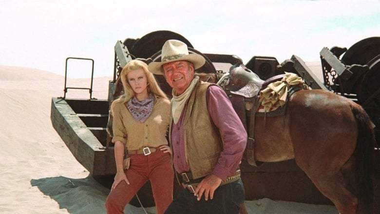 The Train Robbers (1973)