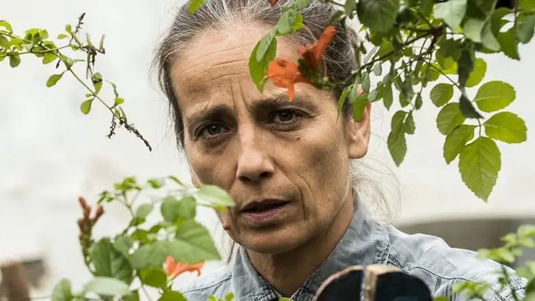 L'intrusa (2017)