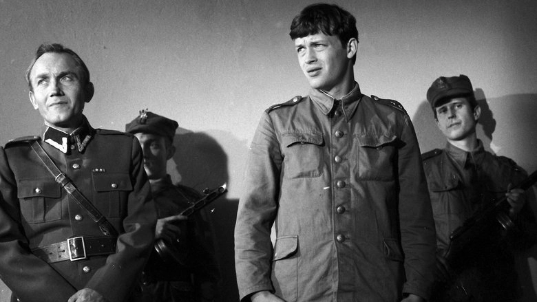 Wierne Blizny (1982)