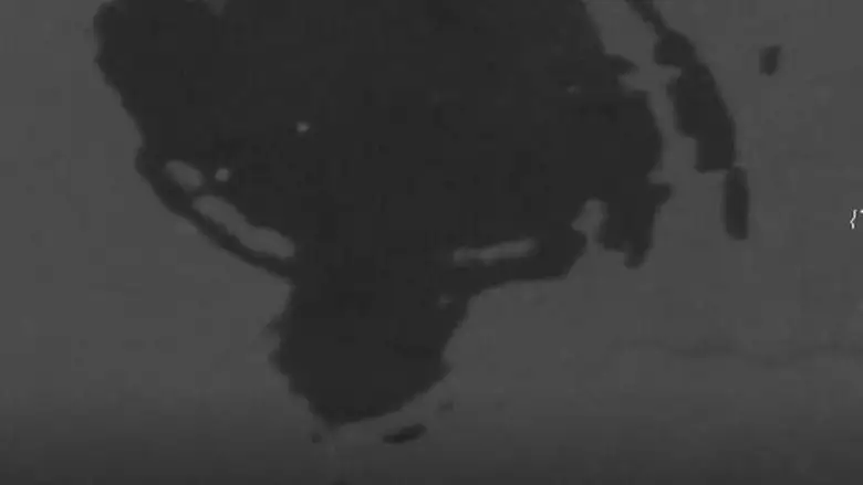 Film Amateura (2004)