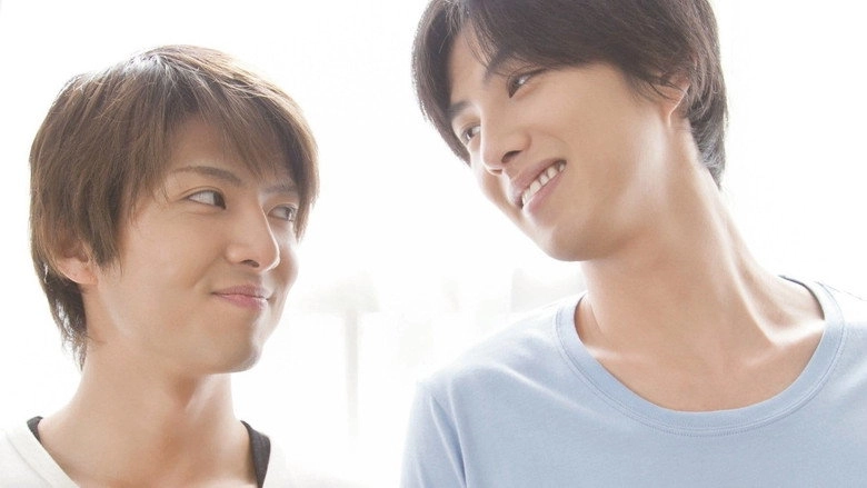 Shape Of Happiness (2013)