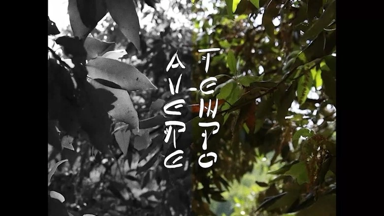 Avere Tempo (2023)