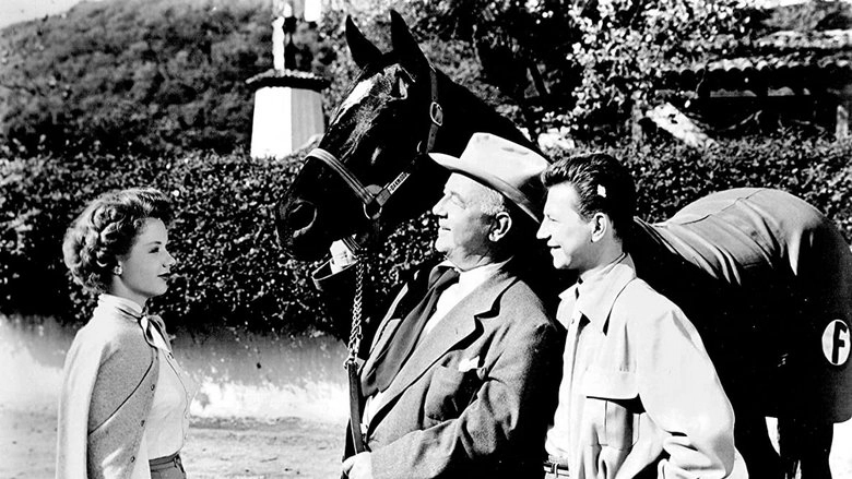 Francis Covers The Big Town (1953)