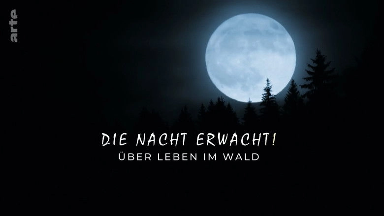 Die Nacht Erwacht! Uber Leben Im Wald (2024)
