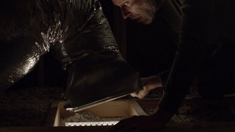 Crawlspace (2013)