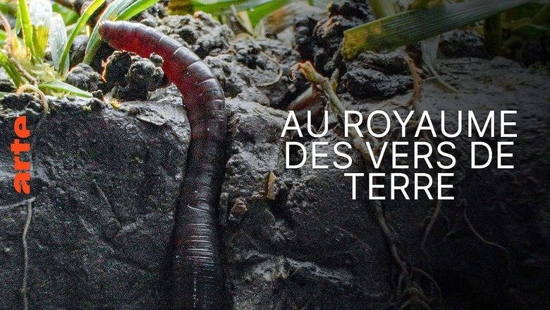 Im Reich Des Regenwurms - Der Boden Unter Unseren Fussen (2023)