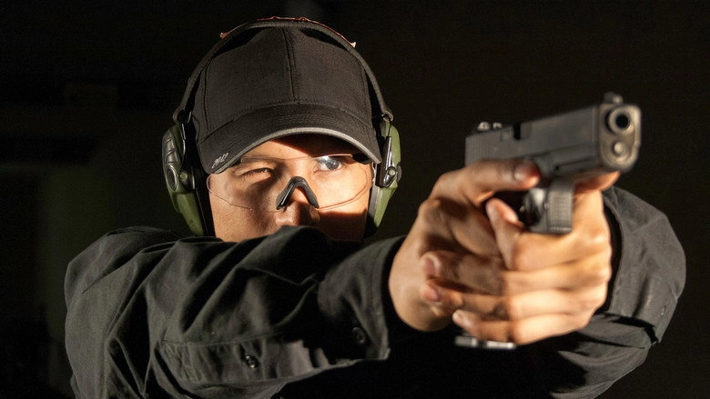 After Newtown: Guns In America (2013)