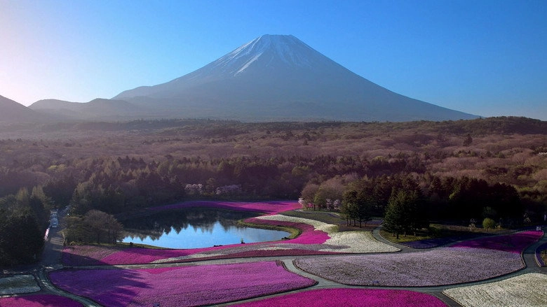 Japon, Aux Racines Du Soleil (2020)