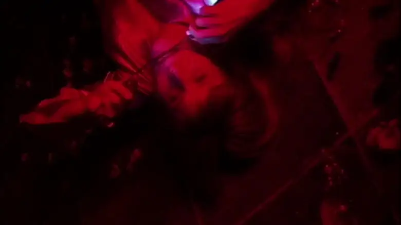 L'etrange Portrait De La Dame En Jaune (2004)