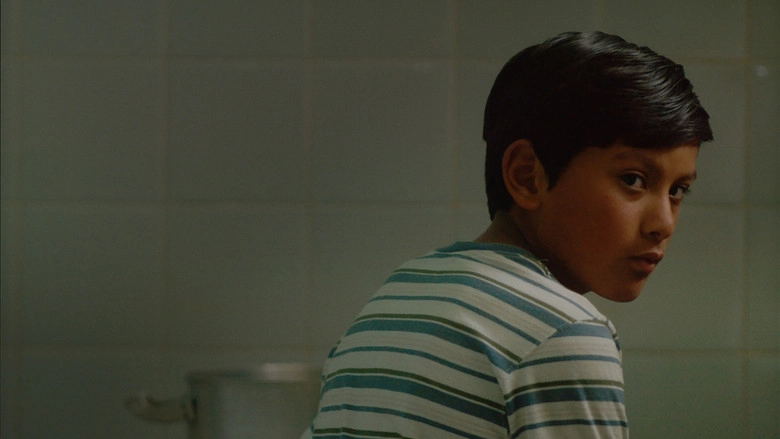 El Tren Fluvial (2026)