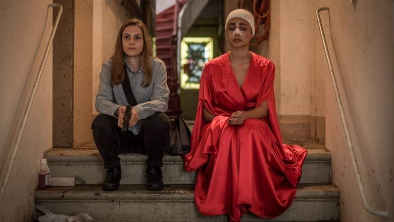 Shelter (2017)