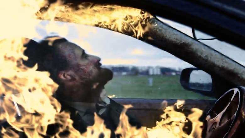 The Fox (2017)