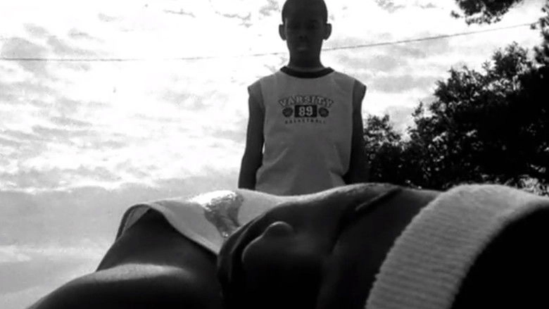 Little Brown Boy (2003)