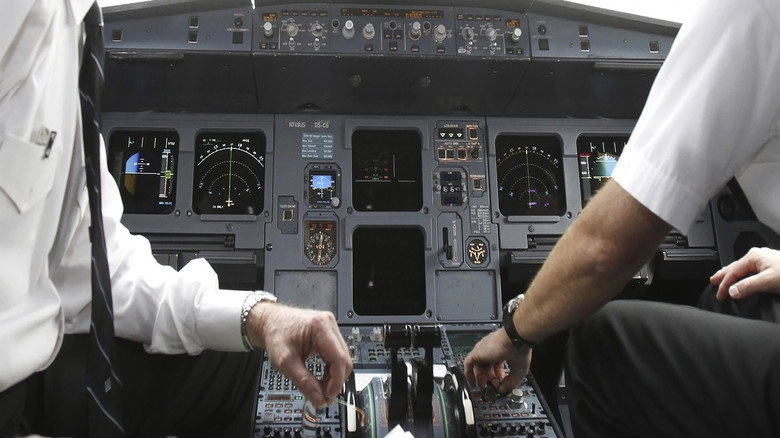 Faut-il Un Pilote Dans L'avion ? (2016)