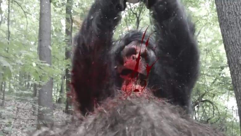 Frozen Sasquatch (2018)