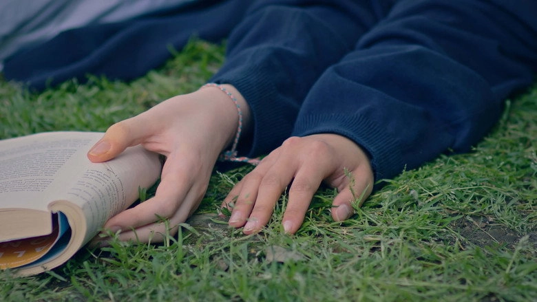 Evergreen (2024)