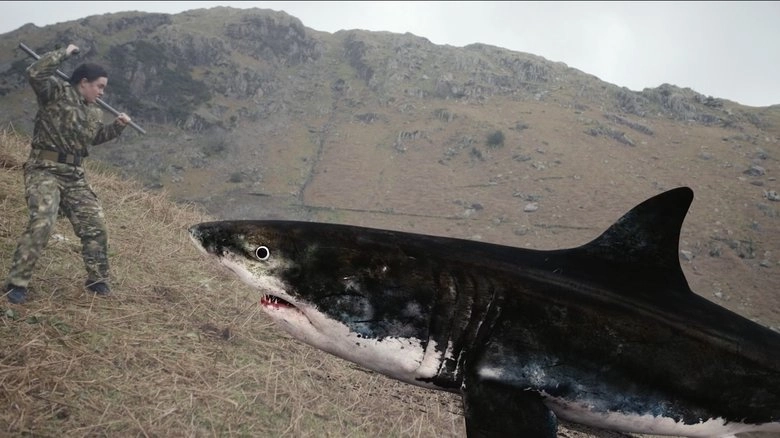 Mountain Shark (2024)