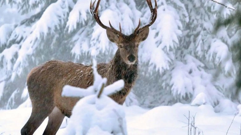 Des Gouts Et Des Couleurs (1997)