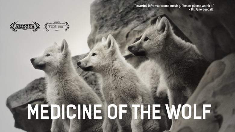 Medicine Of The Wolf (2015)