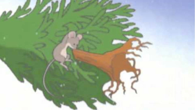 Kipper: Let It Snow! (2003)