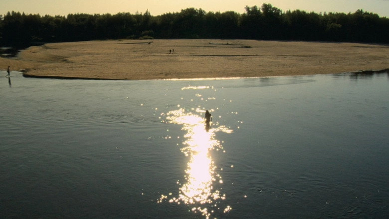 Comme Des Mouches (2011)
