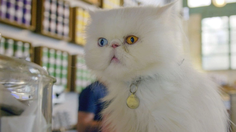 Comment Le Chat A Conquis Le Monde (2020)