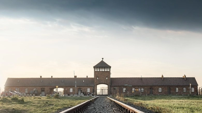 Auschwitz, La Machine De Mort Nazie (2021)