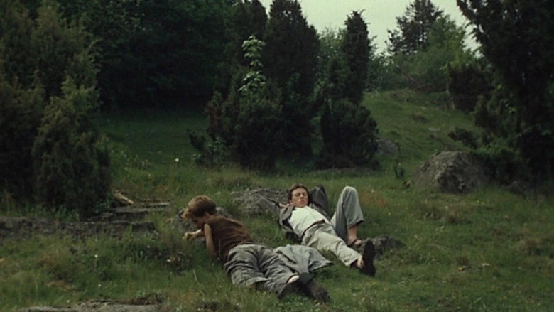 The Shadow Of The Ferns (1986)