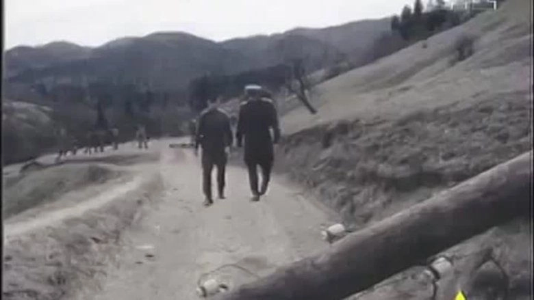 The Last Bunker (1991)