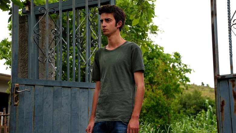 The Forgiveness Of Blood (2011)