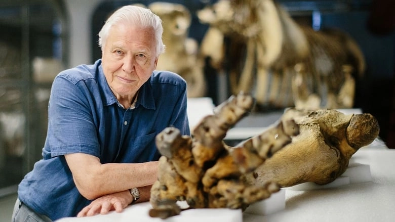 Attenborough And The Giant Elephant (2017)