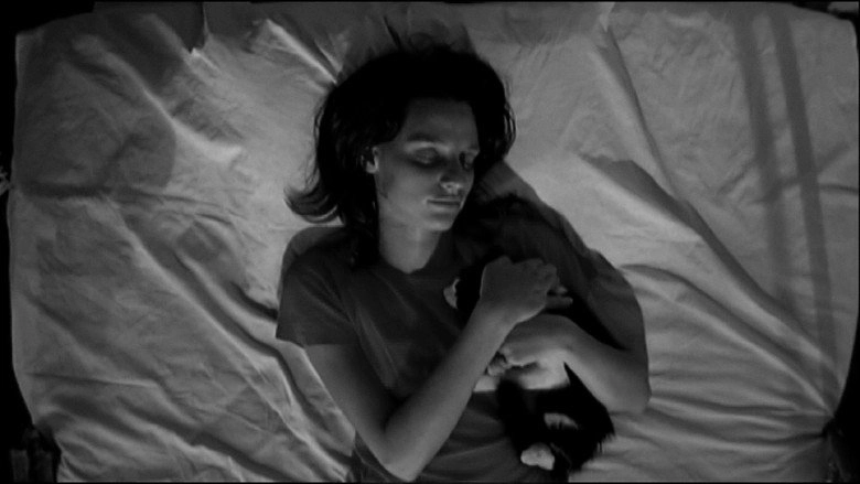 Still Looking For Morphine (2001)