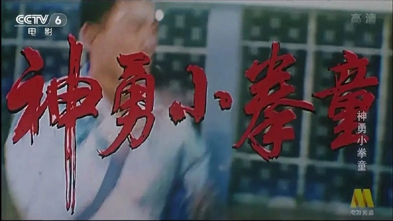 Shen Yong Xiao Quan Tong (1995)