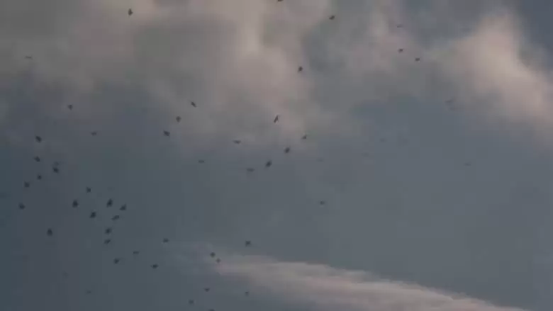 The Sky Seemed Too High (2013)