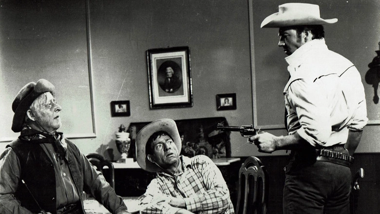 Uno Straniero A Sacramento (1965)