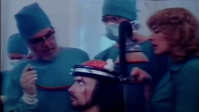 Hvem Har Bestemt? (1978)