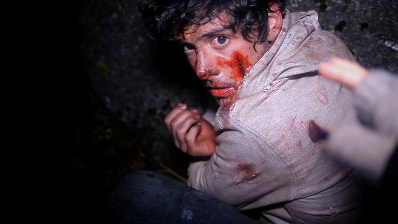 A Night In The Woods (2011)