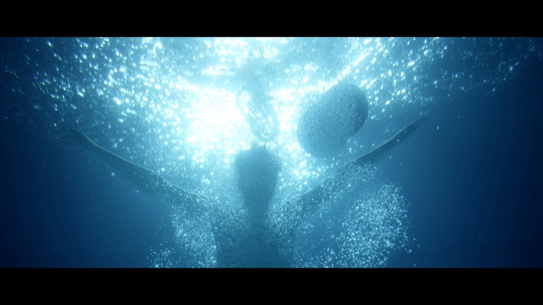 Les Reves Du Plongeur (2016)
