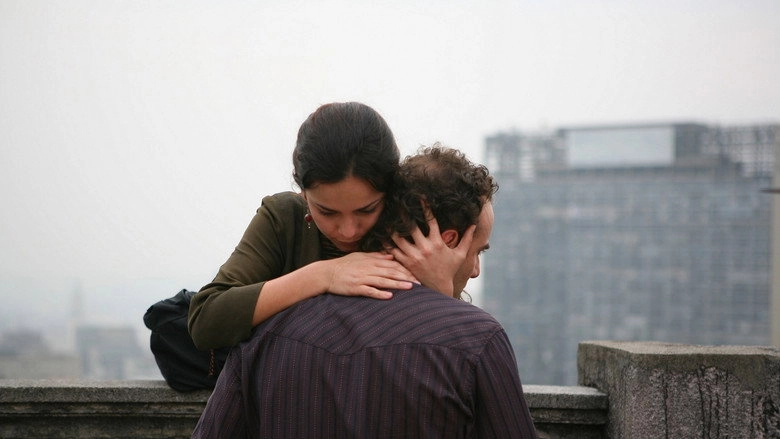 A Via Lactea (2007)