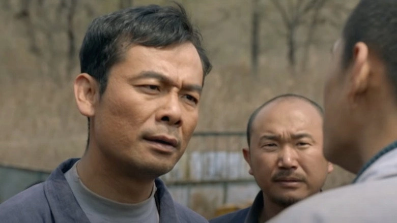 Mao Fengmei (2017)